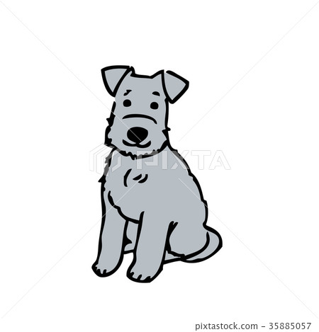 Schnauzer illustrations Schnauzer illustrations 35885057