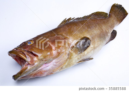 Kue ingredients Kue ingredients 35885588