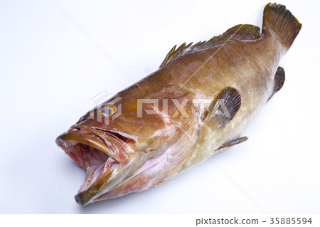 Kue ingredients 35885594