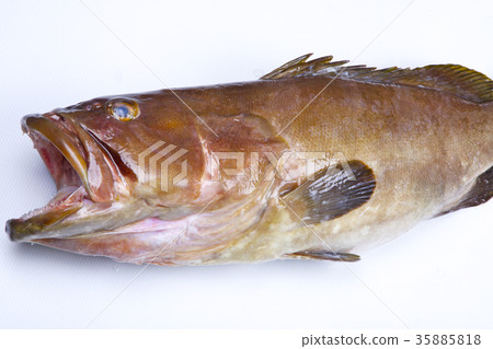 Kue ingredients 35885818