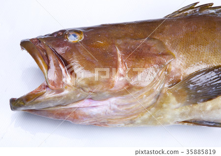 Kue ingredients 35885819