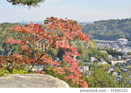 [Hiroshima Prefecture] Scenery and colored leaves of Onomichi city area 35886101