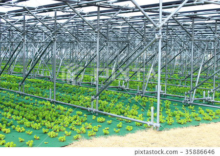 Solar panel _ farming type solar _ Tottori prefecture Hokuei Town Solar panel _ farming type solar _ Tottori prefecture Hokuei Town 35886646