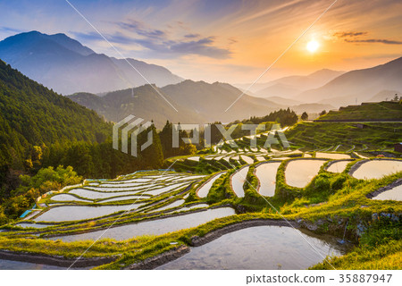 Kumano Japan Rice Terraces 35887947