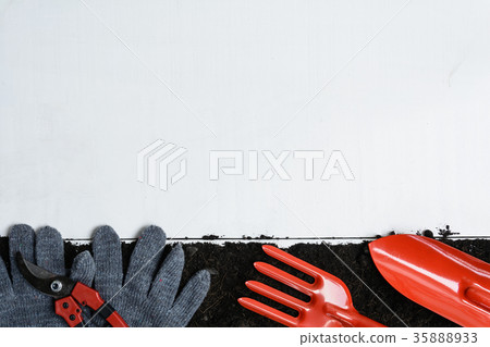 Tools on planting a black tree on the ground Tools on planting a black tree on the ground 35888933