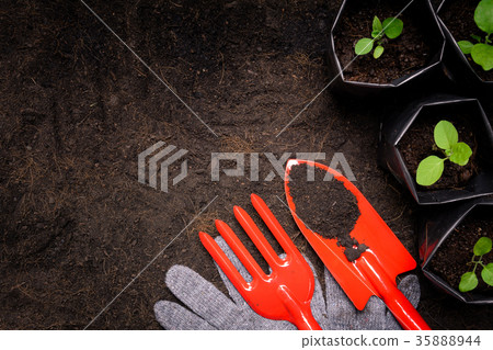 Tools on planting a black tree on the ground 35888944