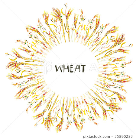 Wheat frame for the bakery Wheat frame for the bakery 35890283