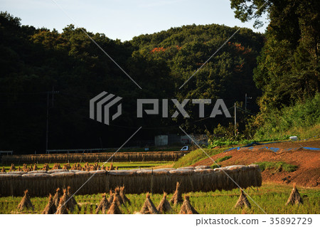 Countryside scenery in Autumn 35892729