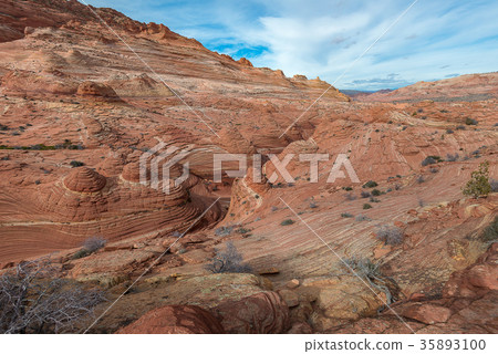 The Wave, Amazing Sandstone in Arizona 35893100