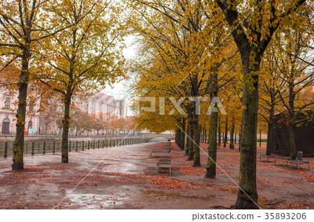 Deokoku Kashiwarin,秋天,楓樹,柏林,秋天,楓樹,德國柏林,秋天 Deokoku Kashiwarin,秋天,楓樹,柏林,秋天,楓樹,德國柏林,秋天 35893206