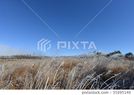 Foggy ice and blue sky Nagano Prefecture high bocce plateau 35895140