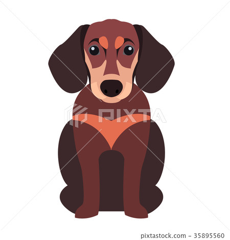Cute Dachshund Dog Cartoon Flat Vector Icon Cute Dachshund Dog Cartoon Flat Vector Icon 35895560