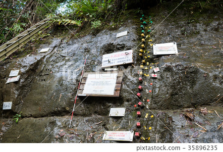 Chibanian (Chiba Prefecture Ichihara Ichiban) 2017 shooting year Chibanian (Chiba Prefecture Ichihara Ichiban) 2017 shooting year 35896235