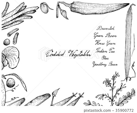 Hand Drawn of Podded Vegetables Frame 35900772