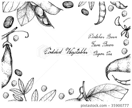 Hand Drawn of Podded Vegetables Frame 35900777