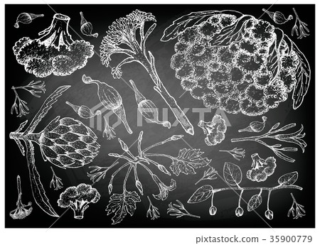 Hand Drawn of Podded Vegetables on Chalkboard 35900779