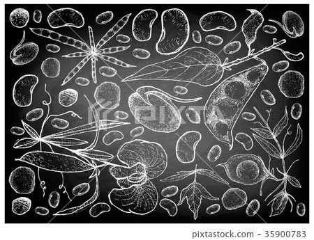 Hand Drawn of Podded Vegetables on Chalkboard 35900783