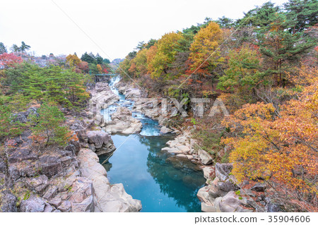 Jimi Mixi（11月秋葉） 35904606