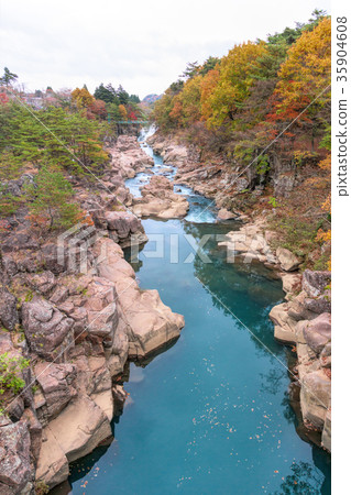 Jimi Mixi（11月秋葉） 35904608