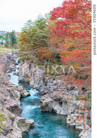 Jimi Mixi（11月秋葉） 35904609