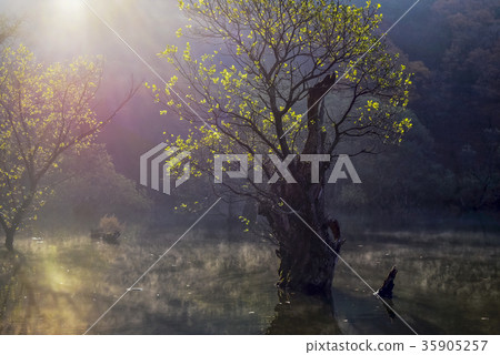 Wangbull, main province, Zhuangsan, floating, Cheongsong, Gyeongbuk 35905257