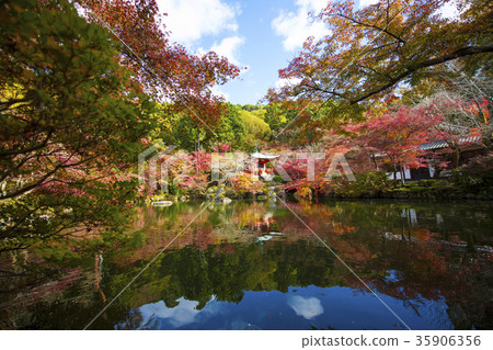 Daigoji在秋天 Daigoji在秋天 35906356