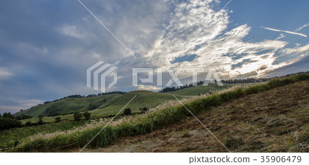 Autumn Izu Inatori Hosono Kogen Autumn Izu Inatori Hosono Kogen 35906479