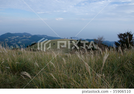 Autumn Izu Inatori Hosono Kogen Mishimayama 35906510