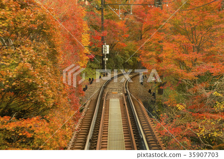 青山電鐵和楓樹隧道 35907703