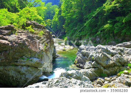 Akikawa Valley in summer (Tokyo) 35908280