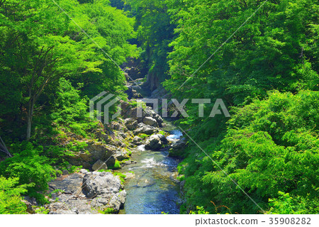 Akikawa Valley in summer (Tokyo) 35908282