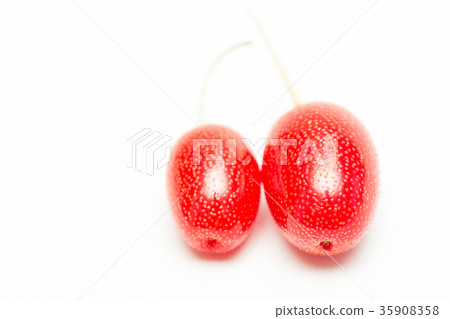 驚訝軟糖 35908358