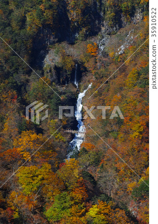 [Beautiful view of autumn leaves] Hakumo no Taki 3/3 seen from Akehiraira observatory 35910522
