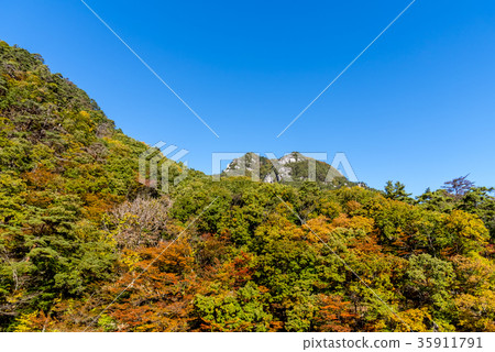 山梨縣Shosenkyo在秋天 山梨縣Shosenkyo在秋天 35911791