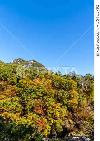 山梨縣Shosenkyo在秋天 35911792