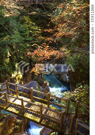 Gifu Prefecture Ryujin Waterfall Autumn Leaves 35911866