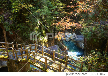 Gifu Prefecture Ryujin Waterfall Autumn Leaves Gifu Prefecture Ryujin Waterfall Autumn Leaves 35911867