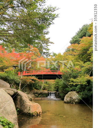 紅葉 紅葉 35912350