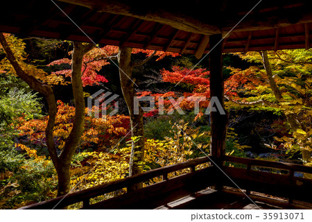 Yamanashi Prefecture Shosenkyo Fall Autumn leaves season 35913071