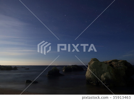 Root coast of the night 35913463