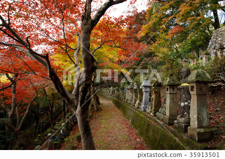 五百 五百 35913501