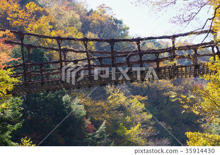 Okuiya Kazura Bridge 35914430
