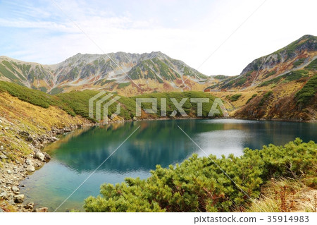 Tateyama Murododaira mikuriga池塘 35914983