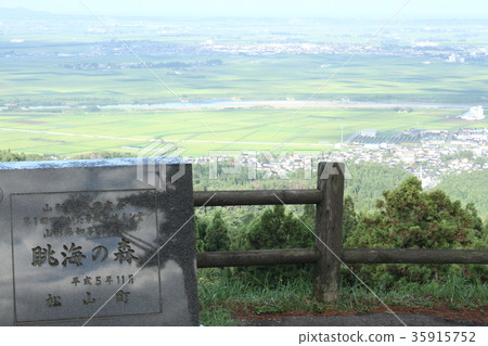 Shonai plain in the summer Shonai plain in the summer 35915752