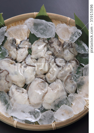 牡蠣 35915896