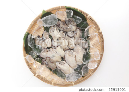 Oyster Oyster 35915901