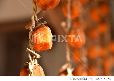 Making dried persimmons Making dried persimmons 35916260