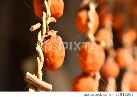 Making dried persimmons Making dried persimmons 35916262