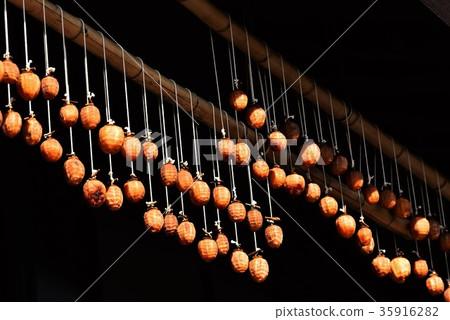 Making dried persimmons Making dried persimmons 35916282