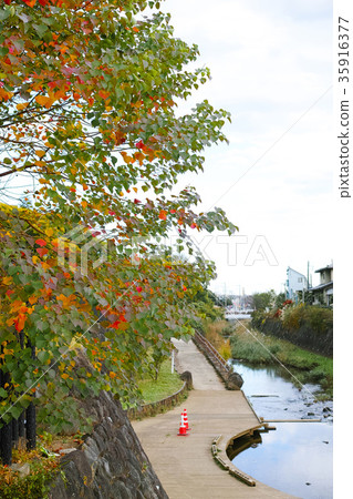 Nankin陰霾秋葉和Akuwa河 Nankin陰霾秋葉和Akuwa河 35916377